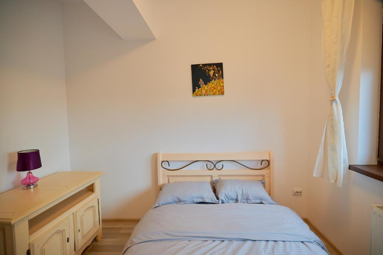 Cozy 3 Bedroom Apartments In Centre Of Iasi Palas Mall Bagian luar foto